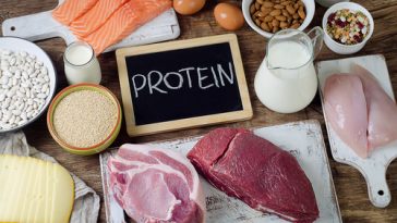 alimenti proteine